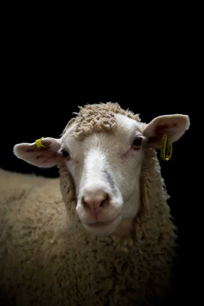 Untitled, photography print, limited edition 