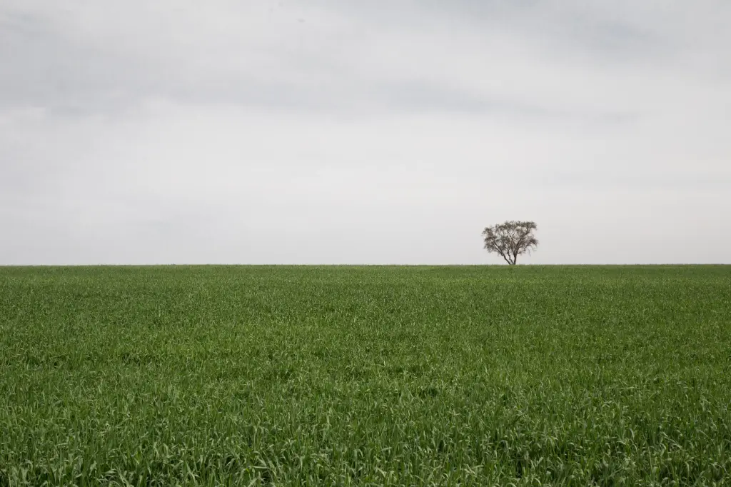 Untitled, photography print, open edition 