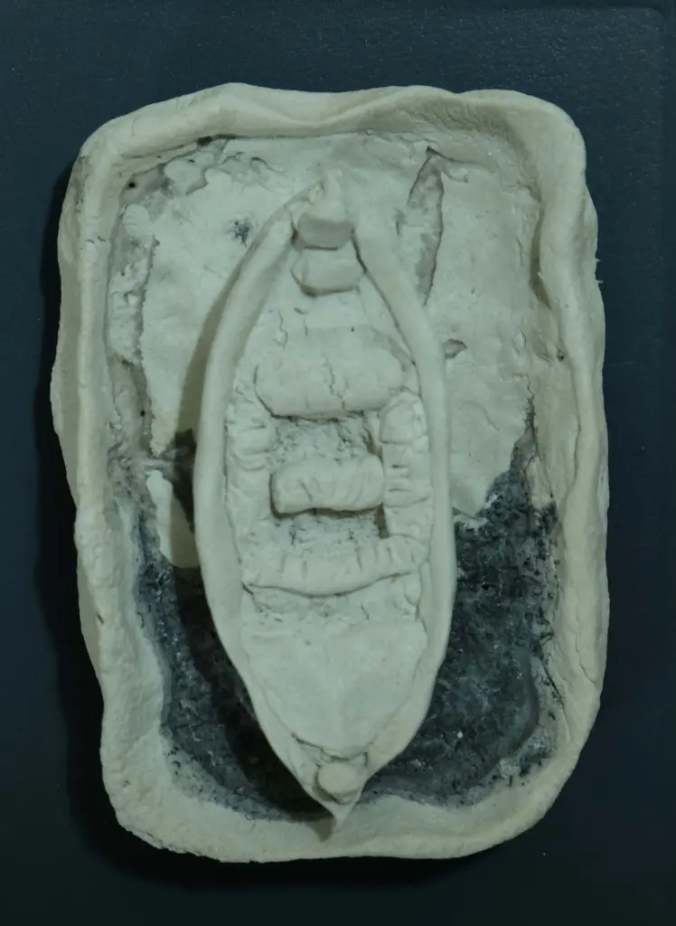 Untitled, limestone paste, 15 x 11 cm, 2023 