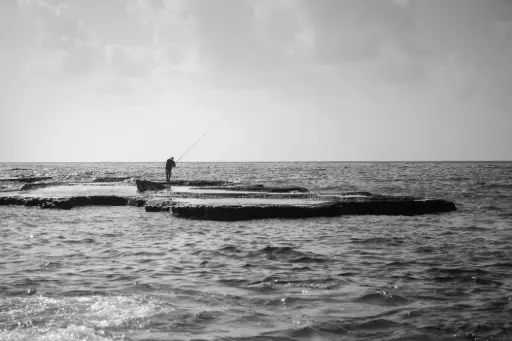 Untitled, photography print, open edition 