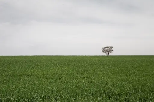 Untitled, photography print, open edition 