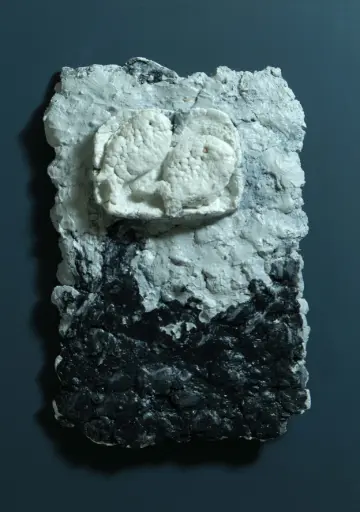 Untitled, limestone paste relief, 30 x 22, 2023 