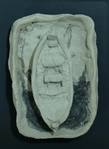 Untitled, limestone paste, 15 x 11 cm, 2023 
